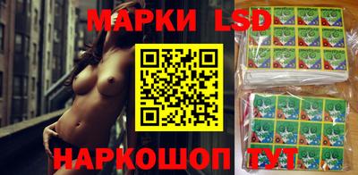 МДПВ Новокубанск