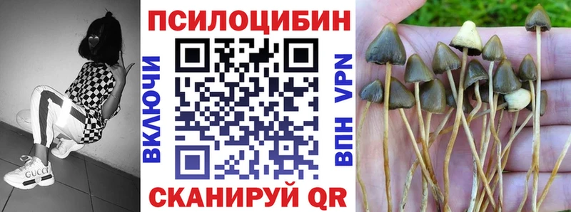 Псилоцибиновые грибы GOLDEN TEACHER  Вологда 