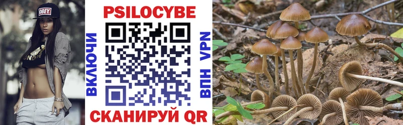 Псилоцибиновые грибы Psilocybe Вологда