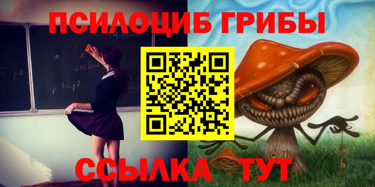 Вологда  Псилоцибиновые грибы Psilocybe  Вход с VPN 