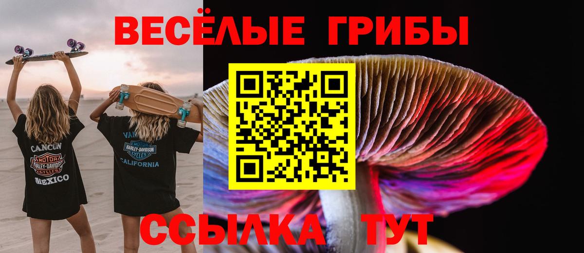 Галлюциногенные грибы Cubensis Вологда